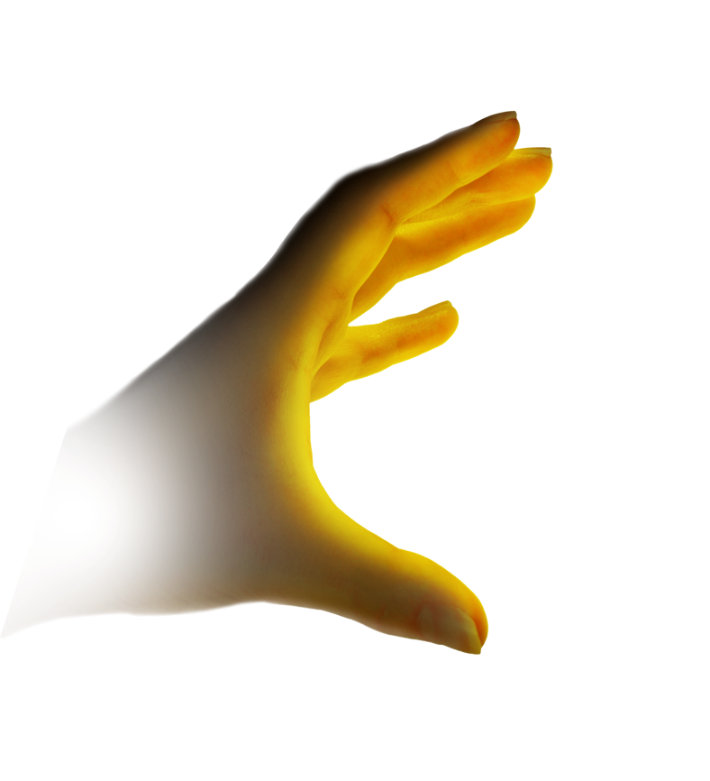 handsLfet